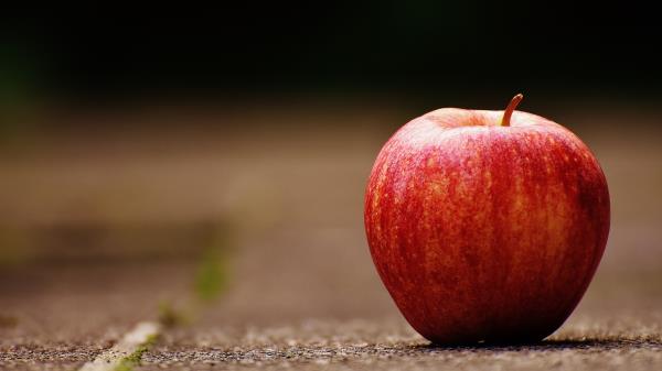 Apple Fruit Ripe Wallpaper