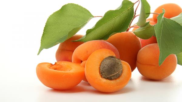 Apricots Branches Leaves Fruit wallpaper