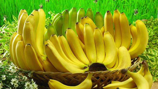 Banana Basket Fruit Wallpaper