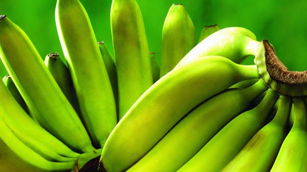 Banana Fruit Herbs Wallpaper