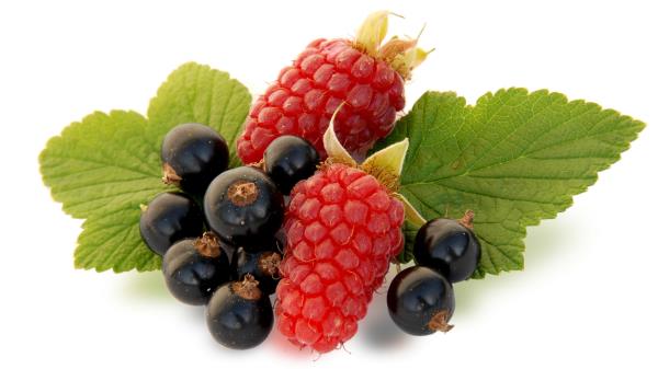Black Currant Raspberry White Background Wallpaper