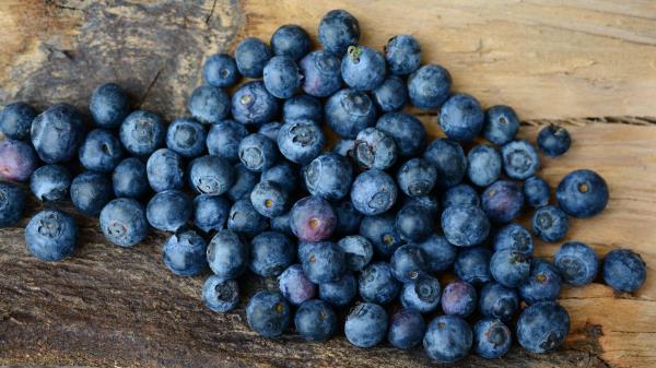 Blueberries Berries Ripe Wallpaper
