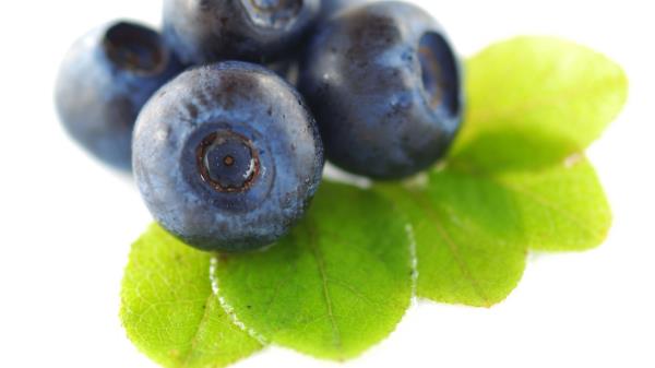 Blueberries White Background Close Up Wallpaper