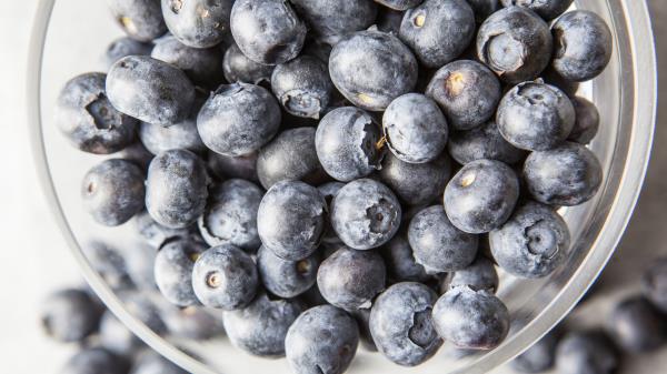 Blueberry Berry Plate Ripe Wallpaper