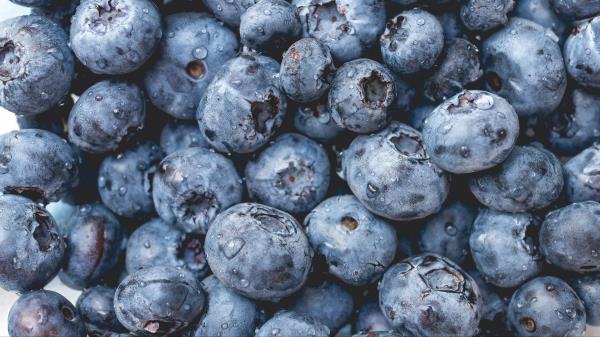 Blueberry Fruit Berry Wallpaper