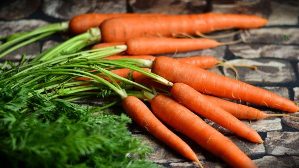 Carrots Vegetables Harvest Wallpaper