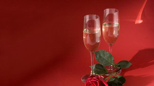 Champagne Flower Rose Wallpaper