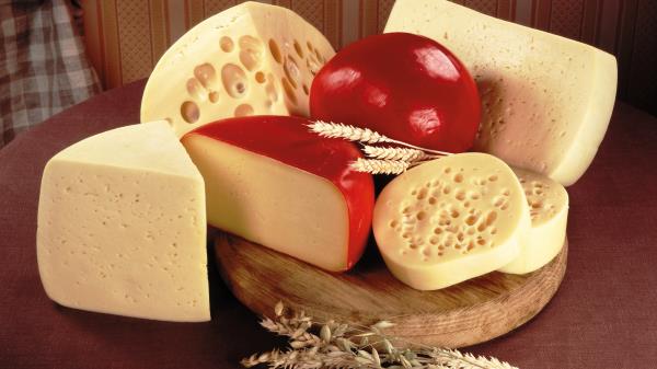 Cheese Chedar Grain Wallpaper
