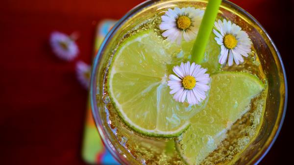 Cocktail Lime Ice Chamomile wallpaper