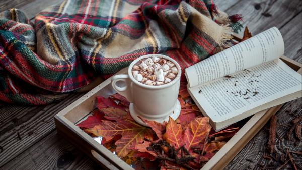 Cocoa Marshmallow Plaid Book Autumn wallpaper