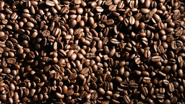 Coffee Beans Beans Coffee Img wallpaper