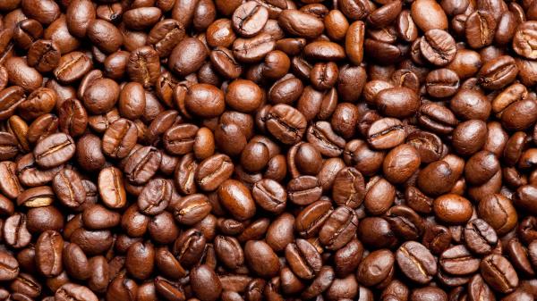 Coffee Grain Background Texture wallpaper
