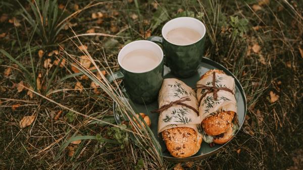 Coffee Sandwich Picnic Wallpaper