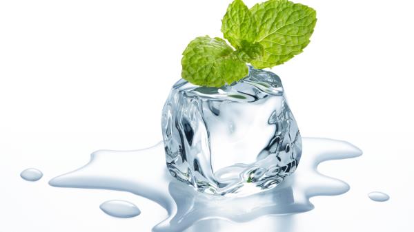 Cube Ice Mint Leaves Water White Background wallpaper