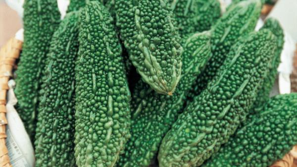 Cucumbers Pimples Vegetables Wallpaper