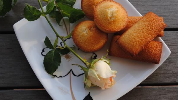 Cupcakes Muffins Plate Rose wallpaper