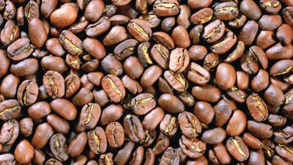 Grains Coffee Background wallpaper