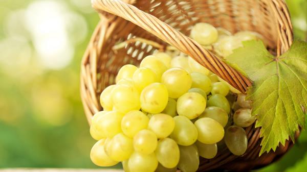 Grapes Basket Fruit wallpaper