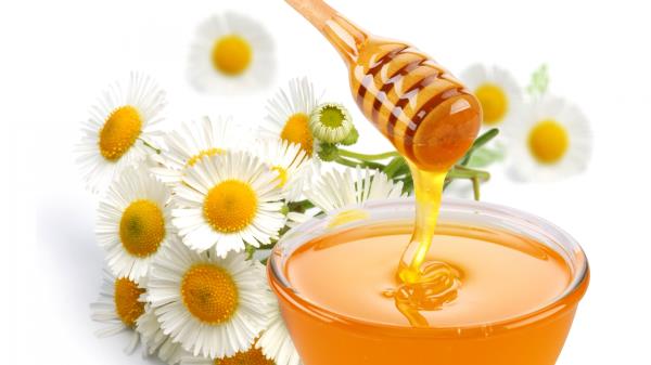 Honey Flower Chamomile Sweet wallpaper