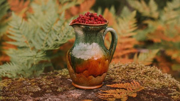 Jug Raspberries Berries wallpaper