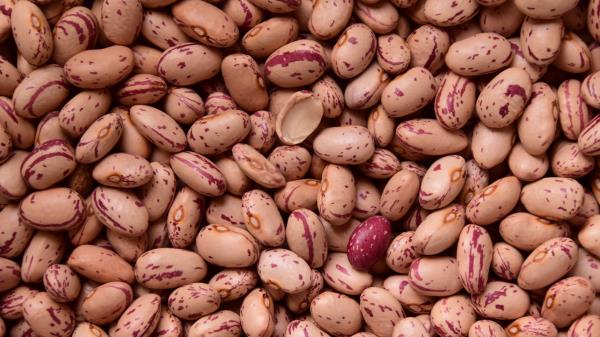 Kidney Beans Beans Seeds wallpaper