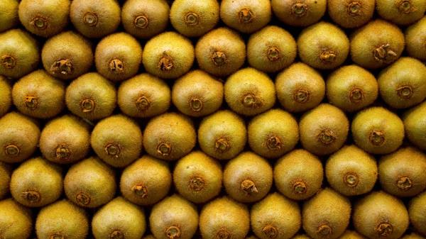 Kiwi Fruit Minimalism wallpaper