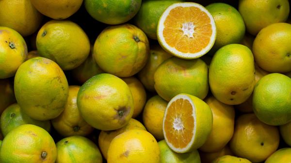 Lime Citrus Ripe wallpaper