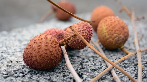 Lychee Chinese Plum Fruit Exotic wallpaper