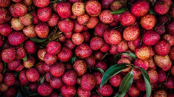 Lychees Fruits Berries wallpaper