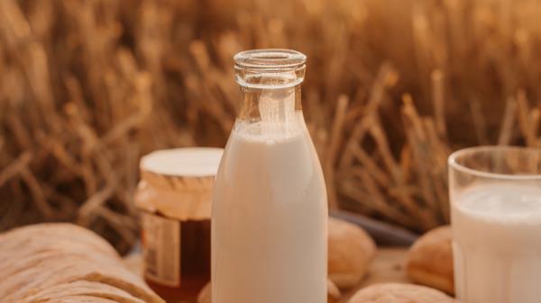 Milk Bottle Field wallpaper