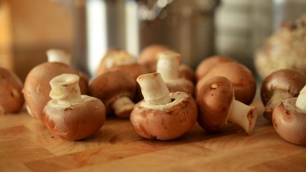 Mushrooms Vegetables Food wallpaper