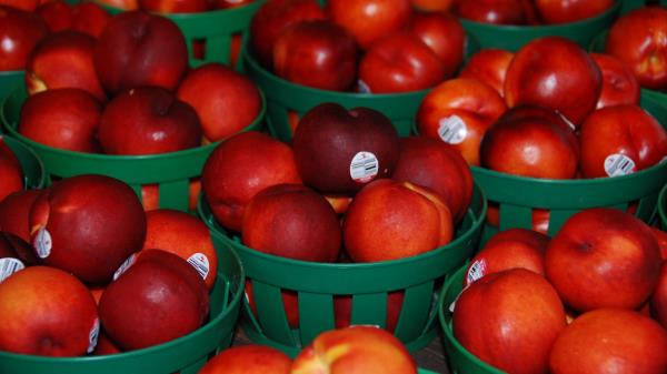 Nectarines Fruit Baskets wallpaper