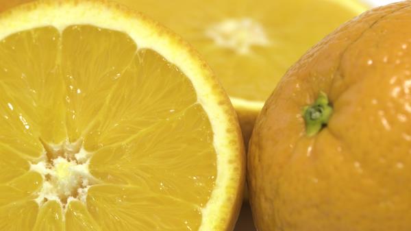 Orange Citrus Fruit wallpaper