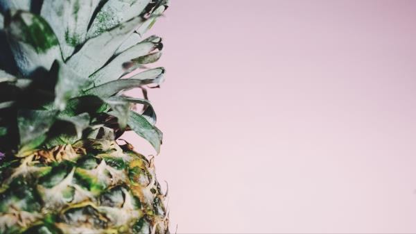 Pineapple Fruit Minimalism wallpaper