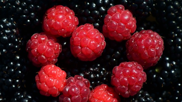 Raspberries Blackberries Berries Ripe wallpaper