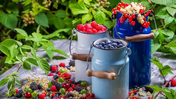 Raspberries Currants Blackberries Cans Leaves Wallpaper