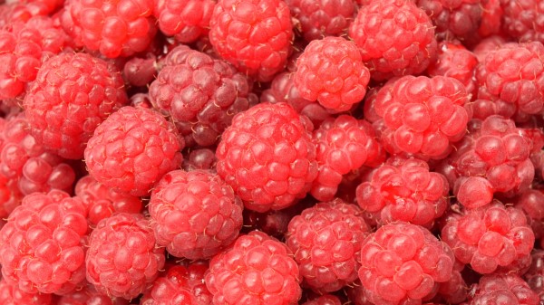 Raspberry Berry Ripe Many wallpaper