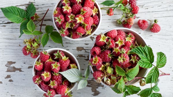 Raspberry Bowl Fruit Table Wallpaper