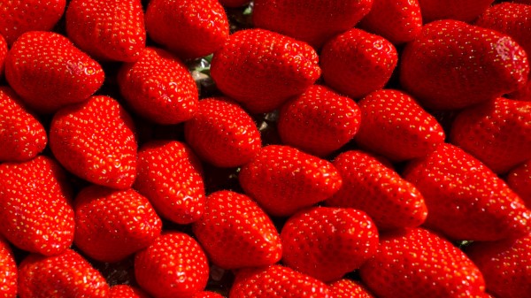 Strawberries Fruit Berry Wallpaper