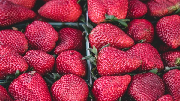 Strawberry Berry Box Ripe wallpaper