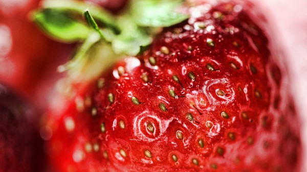 Strawberry Berry Close Up Ripe wallpaper