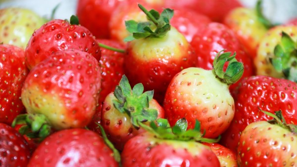 Strawberry Berry Vitamins wallpaper