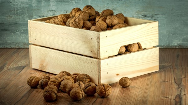 Walnuts Box Shell Wallpaper