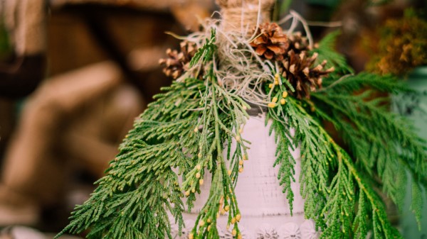 Bell Branches Cones Wallpaper