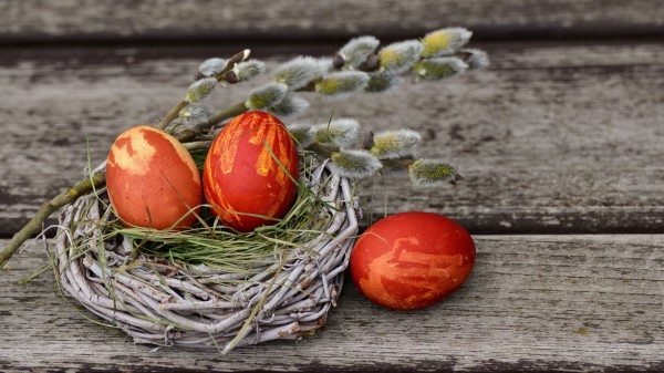 Eggs Easter Willow Decorating Wallpaper