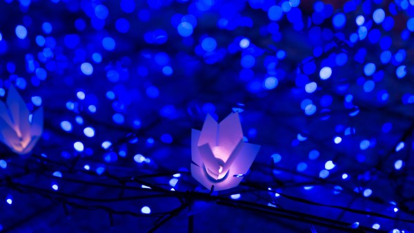 Garland Glare Bokeh wallpaper