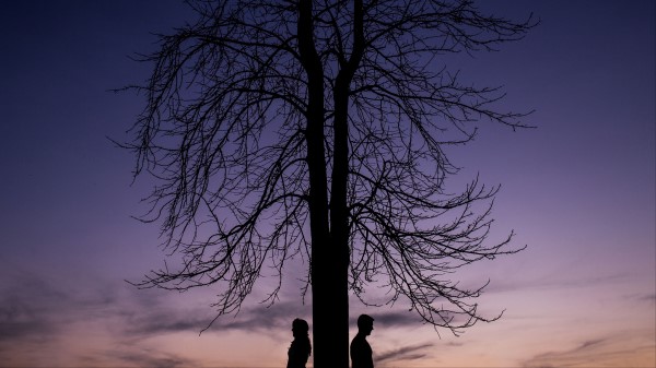 Couple Silhouettes Tree wallpaper