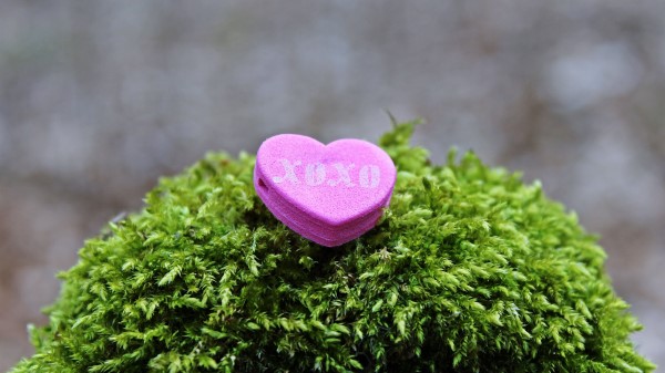 Heart Inscription Love wallpaper