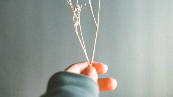 Herbarium Branch Fingers wallpaper