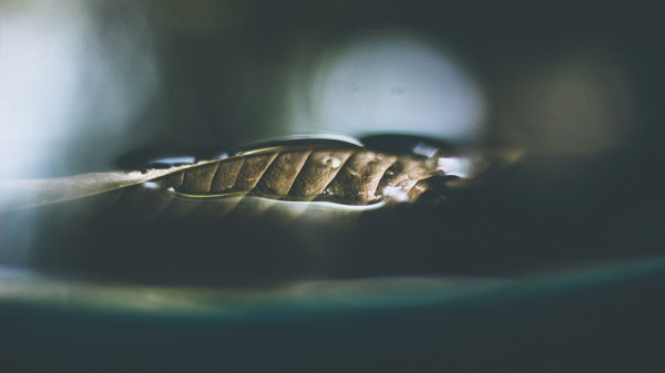 Leaf Dry Close Up Photography wallpaper